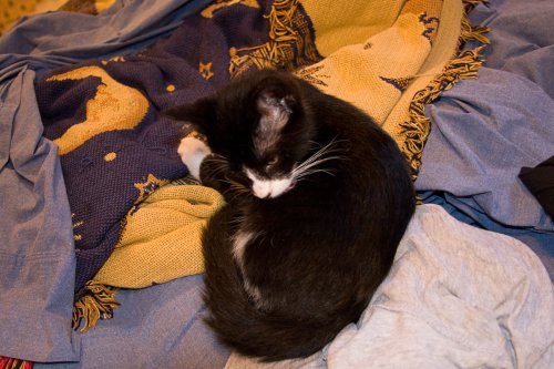 Misha_2008-07-12_IMG_0259